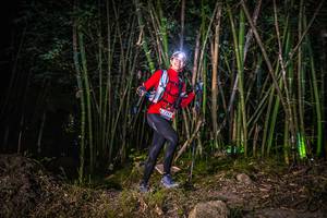 BIB: 7243
                            <button type="button" onclick="openModal(6937809)" class="btn btn-primary btn-sm float-right btn-popup" data-toggle="modal" data-target=".modal-high-quality">
                        <i class="fas fa-shopping-cart"></i> Add to Cart
                    </button>
                                            <button type="button" onclick="isThisMe(6937809, true)" class="btn btn-success btn-sm float-right btn-popup btn-isme hidden" data-toggle="tooltip" data-placement="bottom" title="นี่คือรูปของคุณใช่ไหม คลิกที่นี่เพื่อเอาเข้าอัลบั้ม">
                        <i class="fas fa-plus"></i> Add to album
                    </button>
                    <button type="button" onclick="isThisMe(6937809, false)" class="btn btn-warning btn-sm float-right btn-popup btn-isnotme hidden">
                        <i class="fas fa-ban"></i> Remove from album
                    </button>